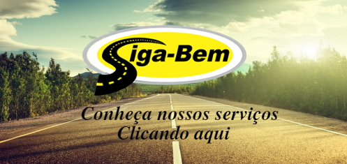 Entendendo o motor flex