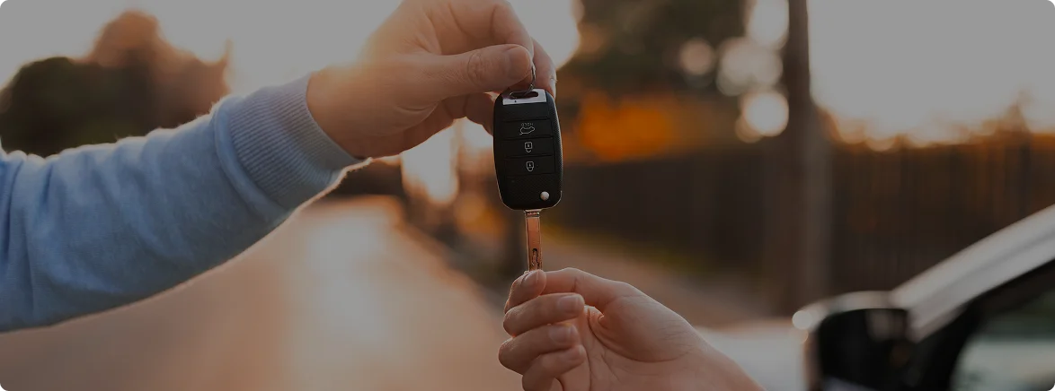 Background - Leva e Traz